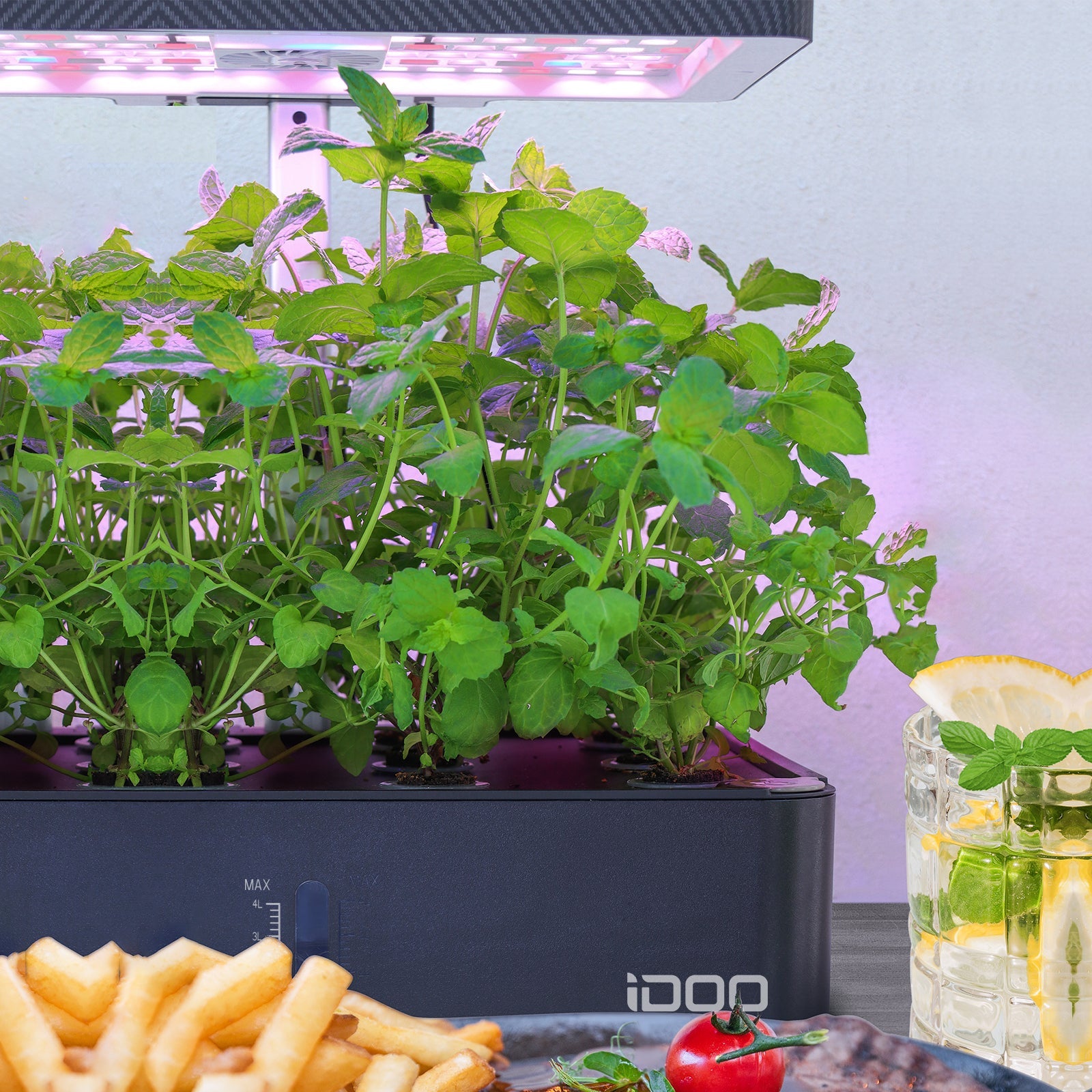 iDOO 12Pods Indoor Herb Garden Kit - Hydroponic Growing System Hydroponic Growing Systems by idoogroup