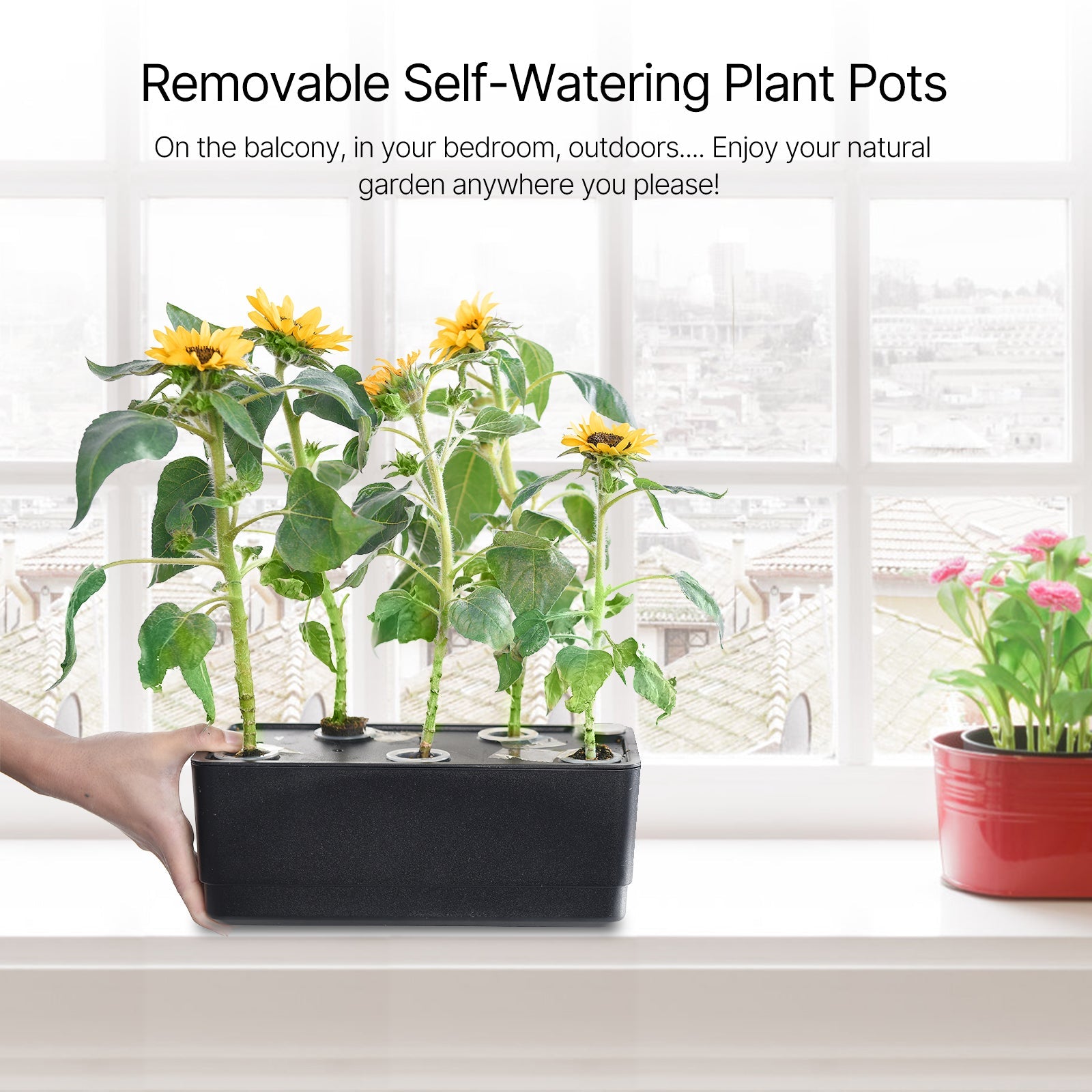 iDOO 20Pods Indoor Herb Garden Kit - Hydroponic Growing System Hydroponic Growing Systems by idoogroup