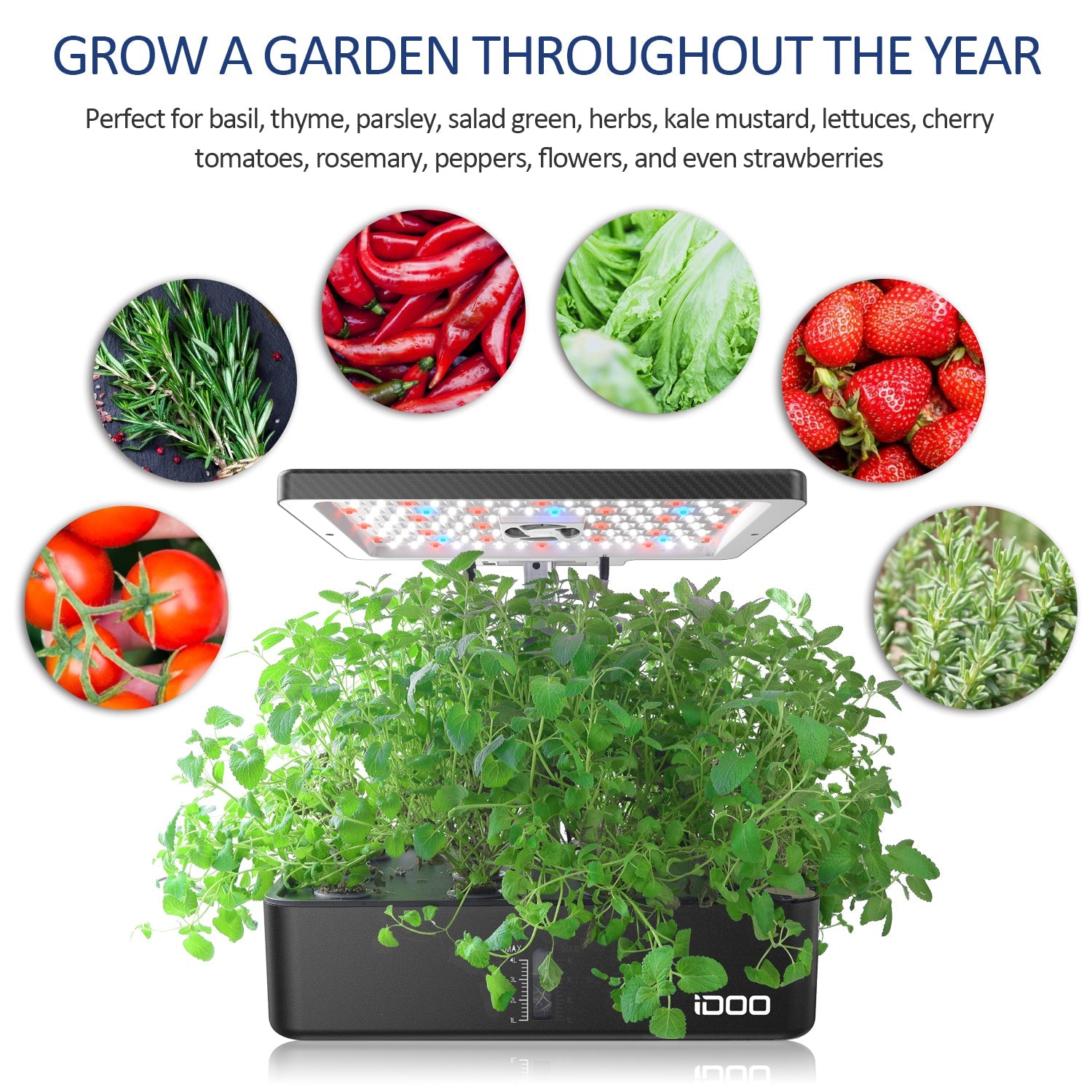 iDOO 12Pods Indoor Herb Garden Kit - Hydroponic Growing System Hydroponic Growing Systems by idoogroup
