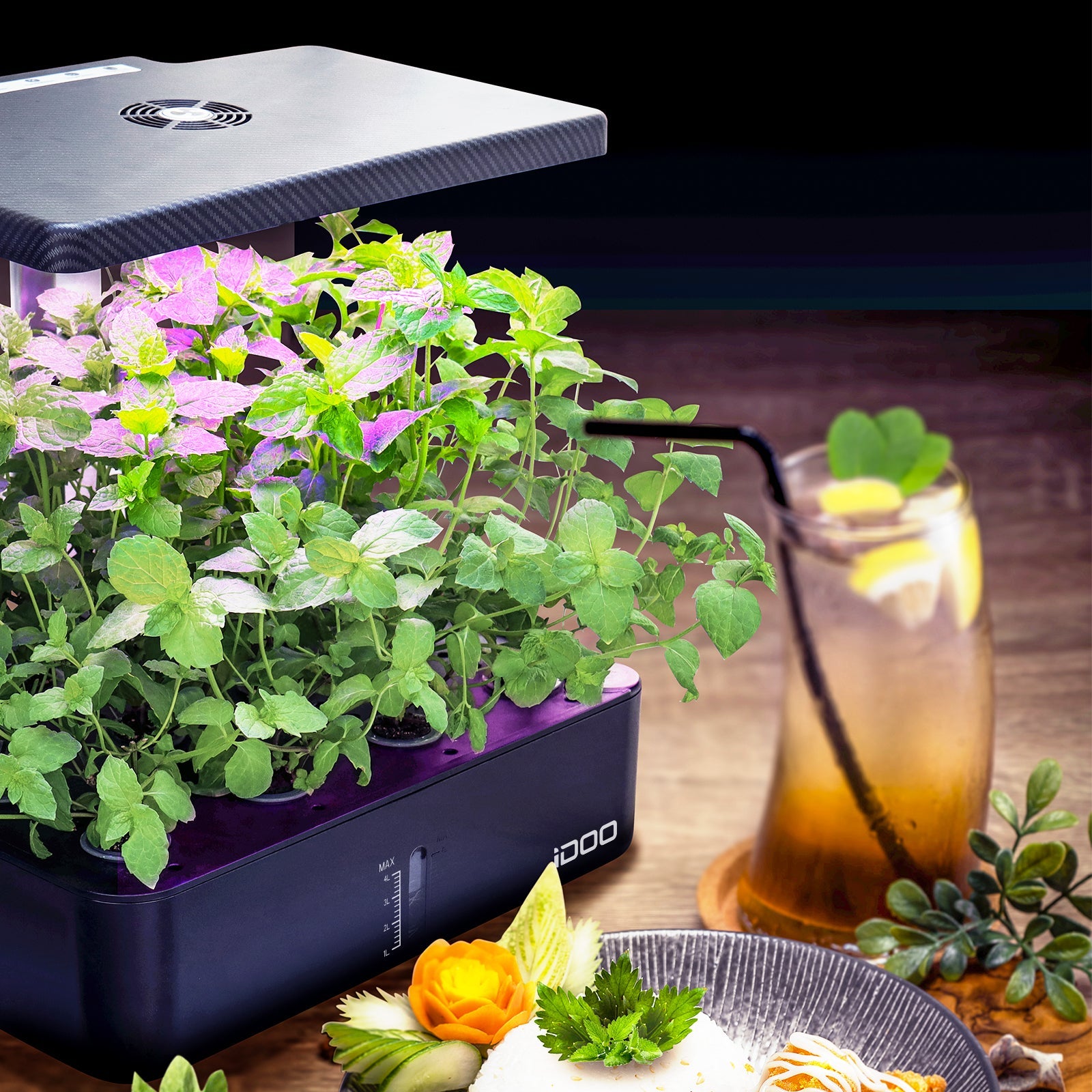 iDOO 12Pods Indoor Herb Garden Kit - Hydroponic Growing System Hydroponic Growing Systems by idoogroup
